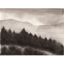 Ink Imperial painting, 'Spruce Treeline Towards Craig Wen, Beddgelert' by Barry Martin-Andrews